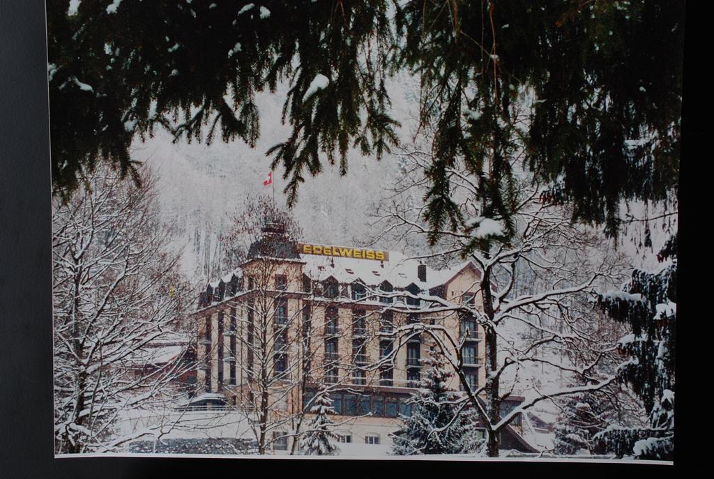 Hotel Edelweiss انغلبرغ المظهر الخارجي الصورة